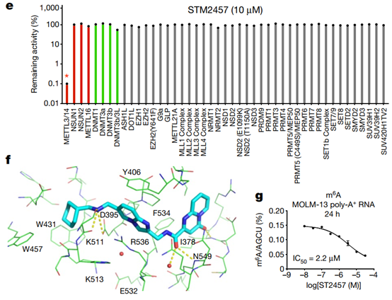 Characterization of RNA methyltransferase inhibitor STM2457-2